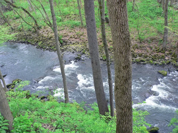 Clifton Gorge State Nature Preserve Yellow Springs Ohio — стокове фото