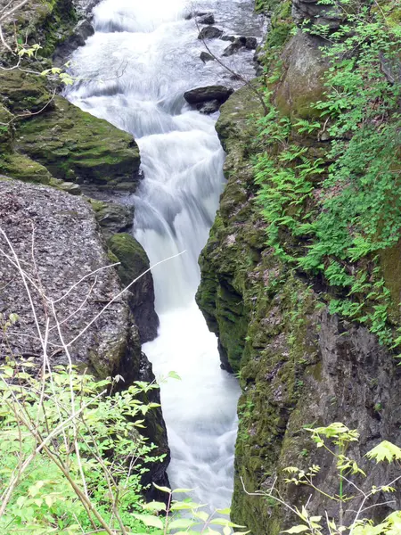 Clifton Gorge State Nature Preserve Yellow Springs Ohio — Photo