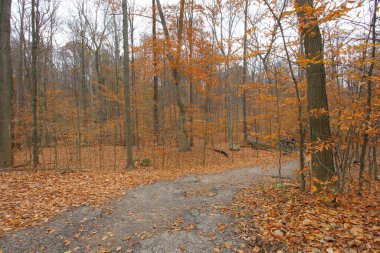 Cuyahoga Valley Ulusal Parkı, Cleveland, Ohio