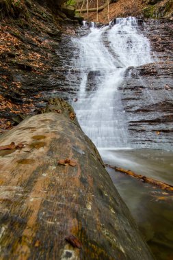 Cuyahoga Valley Ulusal Parkı, Cleveland, Ohio