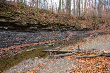 Cuyahoga Valley Ulusal Parkı, Cleveland, Ohio