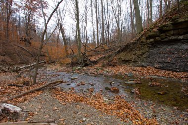 Cuyahoga Valley Ulusal Parkı, Cleveland, Ohio