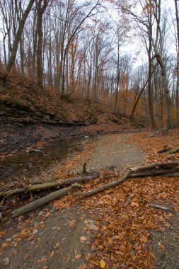 Cuyahoga Valley Ulusal Parkı, Cleveland, Ohio