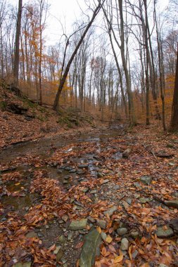 Cuyahoga Valley Ulusal Parkı, Cleveland, Ohio
