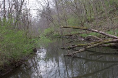 Glen Helen Preserve, Yellow Springs, Ohio