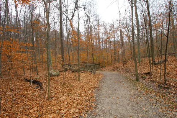 Cuyahoga Valley Nemzeti Park Cleveland Ohio — Stock Fotó