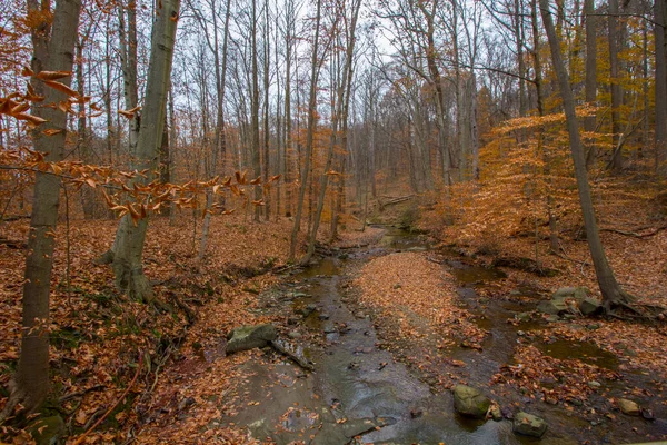 Cuyahoga Valley Ulusal Parkı Cleveland Ohio — Stok fotoğraf