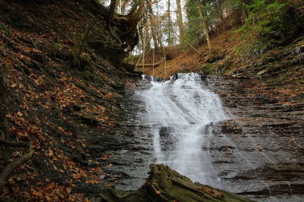 Cuyahoga Valley Ulusal Parkı Cleveland Ohio — Stok fotoğraf