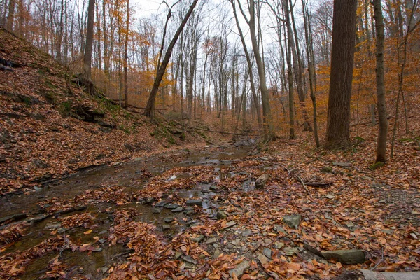 Cuyahoga Valley Nemzeti Park Cleveland Ohio — Stock Fotó