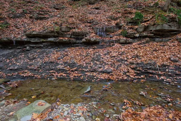 Parque Nacional Cuyahoga Valley Cleveland Ohio — Fotografia de Stock