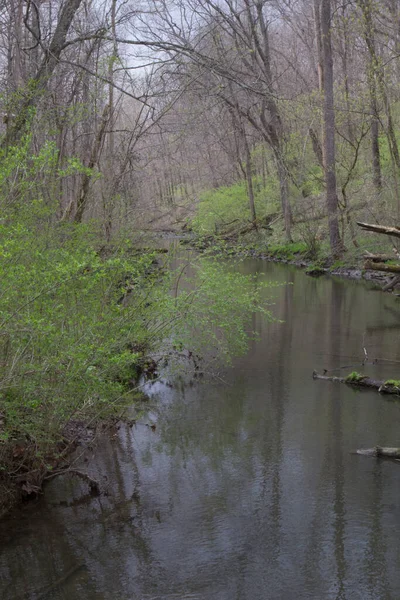 Glen Helen Preserve Yellow Springs Ohio — Stockfoto