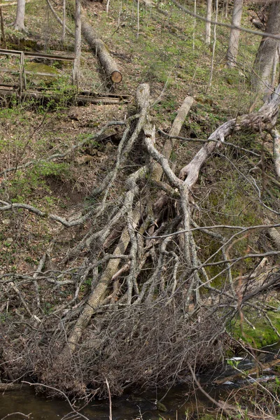 Glen Helen Preserve Yellow Springs Ohio —  Fotos de Stock