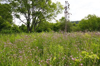 Highbanks Metro Parkı, Columbus, Ohio