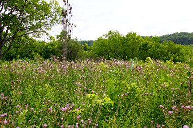Highbanks Metro Parkı, Columbus, Ohio