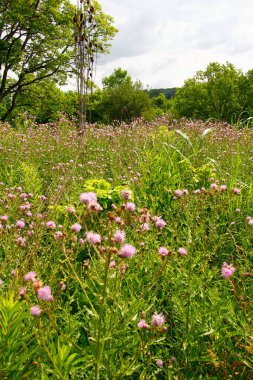 Highbanks Metro Parkı, Columbus, Ohio