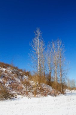 Highbanks Metro Parkı, Columbus, Ohio
