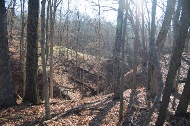 Highbanks Metro Parkı, Columbus, Ohio