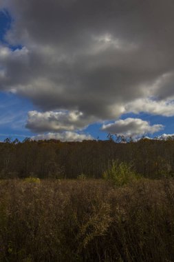 Highbanks Metro Parkı, Columbus, Ohio