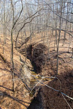 Highbanks Metro Parkı, Columbus, Ohio