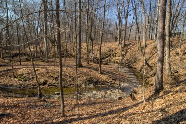 Highbanks Metro Parkı, Columbus, Ohio