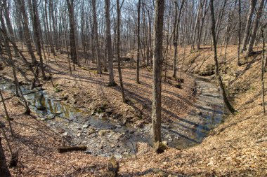 Highbanks Metro Parkı, Columbus, Ohio