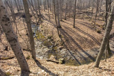 Highbanks Metro Parkı, Columbus, Ohio