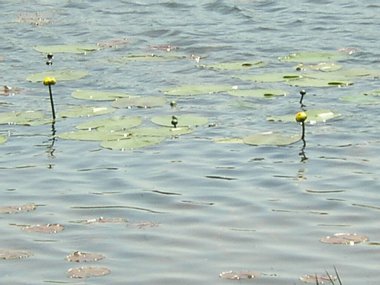 Highbanks Metro Parkı, Columbus, Ohio