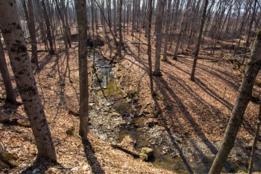 Highbanks Metro Parkı, Columbus, Ohio