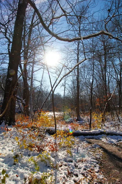 Highbanks Metro Park Kolumbusz Ohio — Stock Fotó