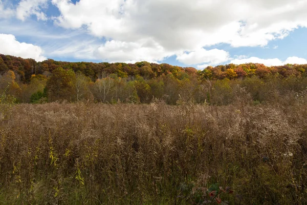 Highbanks Metro Park Columbus Ohio — Zdjęcie stockowe