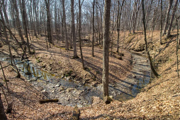 Highbanks Metro Park Columbus Ohio — Photo