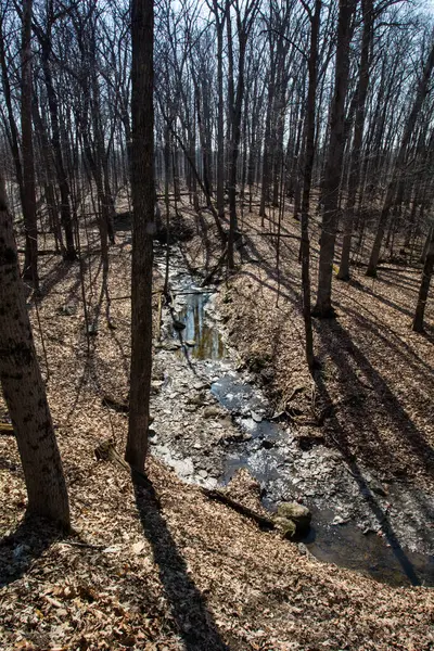 Highbanks Metro Park Columbus Ohio — Stockfoto