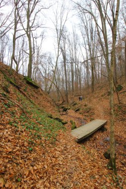 Hosak Mağarası, Salt Fork Eyalet Parkı, Ohio