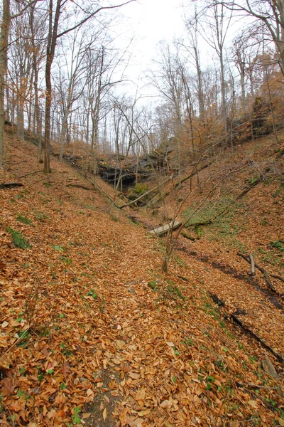 Hosak Cave Salt Fork State Park Ohio — Stockfoto