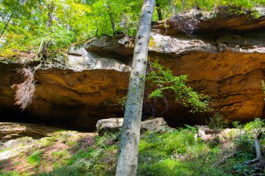 Hosak Mağarası, Salt Fork Eyalet Parkı, Ohio