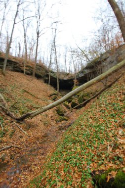 Hosak Mağarası, Salt Fork Eyalet Parkı, Ohio