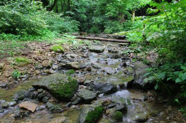 Hint Köyü Kanyonu, Columbus, Ohio