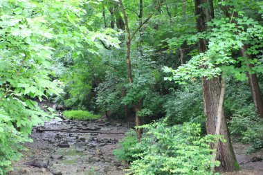 Hint Köyü Kanyonu, Columbus, Ohio