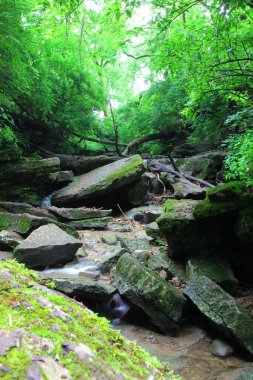 Hint Köyü Kanyonu, Columbus, Ohio