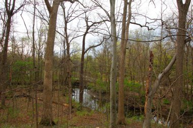 Inniswood Metro Bahçeleri, Westerville, Ohio