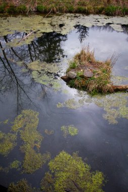 Inniswood Metro Bahçeleri, Westerville, Ohio