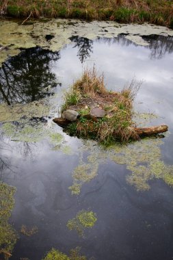 Inniswood Metro Bahçeleri, Westerville, Ohio