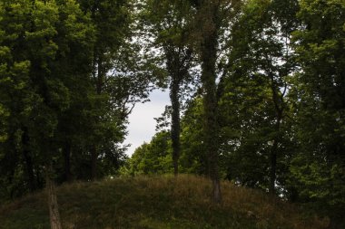 Jeffers Yerli Amerikan Tepesi, Worthington, Ohio