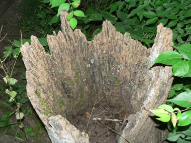 John Bryan Eyalet Parkı, Ohio