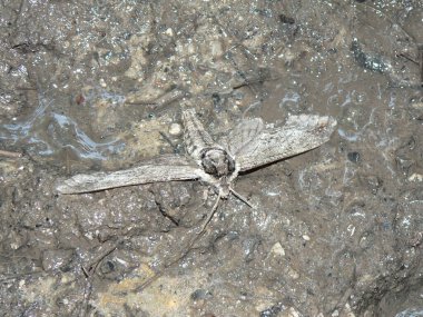 John Bryan Eyalet Parkı, Ohio