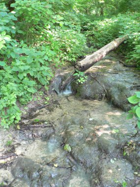 John Bryan Eyalet Parkı, Ohio