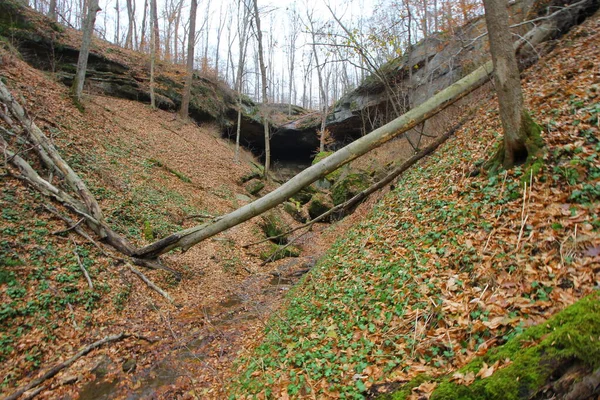 Hosak Mağarası Salt Fork Eyalet Parkı Ohio — Stok fotoğraf