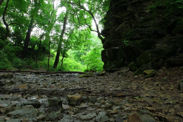 Каньйон Indian Village Canyon Columbus Ohio — стокове фото