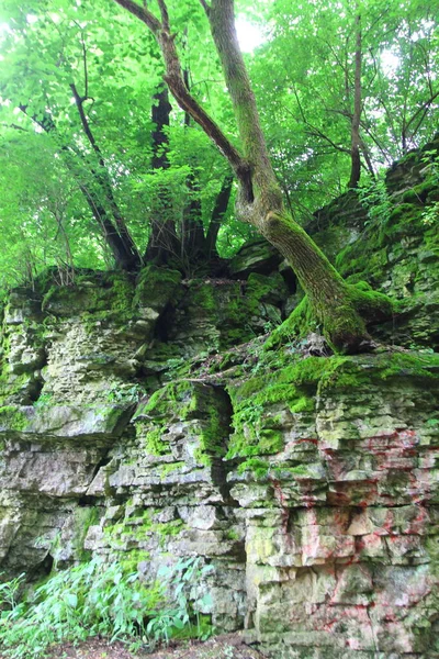 Indian Village Canyon Columbus Ohio — Fotografia de Stock