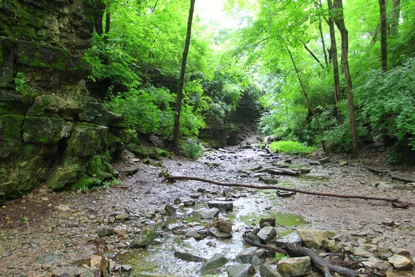 Каньйон Indian Village Canyon Columbus Ohio — стокове фото